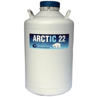 arctic22r